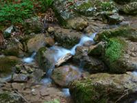 Szene im Grießenbach mit Steinen und Holz